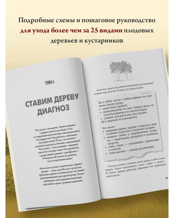 Обрезка и формировка деревьев и кустарников