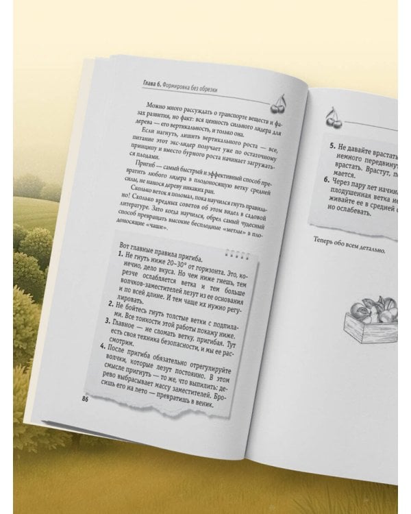 Обрезка и формировка деревьев и кустарников