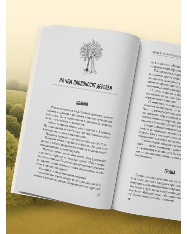 Обрезка и формировка деревьев и кустарников