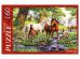 ПАЗЛЫ 160 элементов. ЛОШАДИ НА ВОДОПОЕ (Арт. П160-0633)