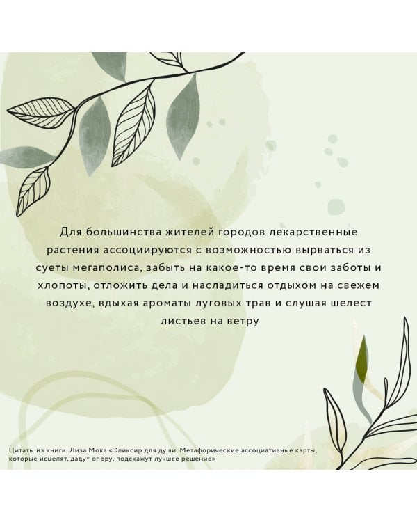 Эликсир для души. Метафорические ассоциативные карты, которые исцелят, дадут опору, подскажут лучшее решение