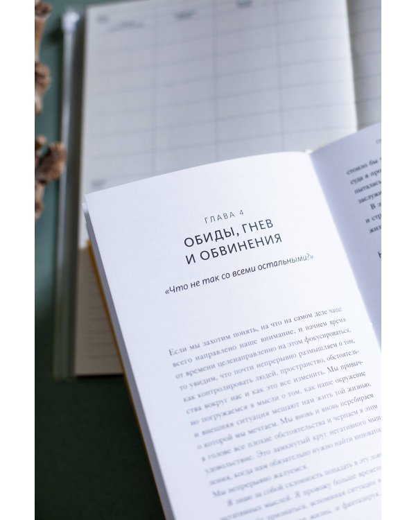 Навязчивые мысли. Как прекратить бесконечный внутренний монолог, избавиться от негативных установок