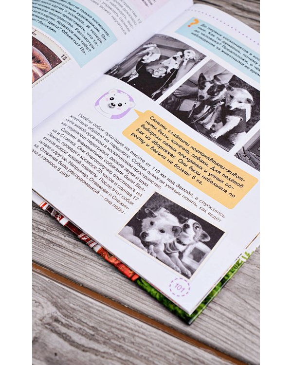 Разговоры о важном для дошкольников