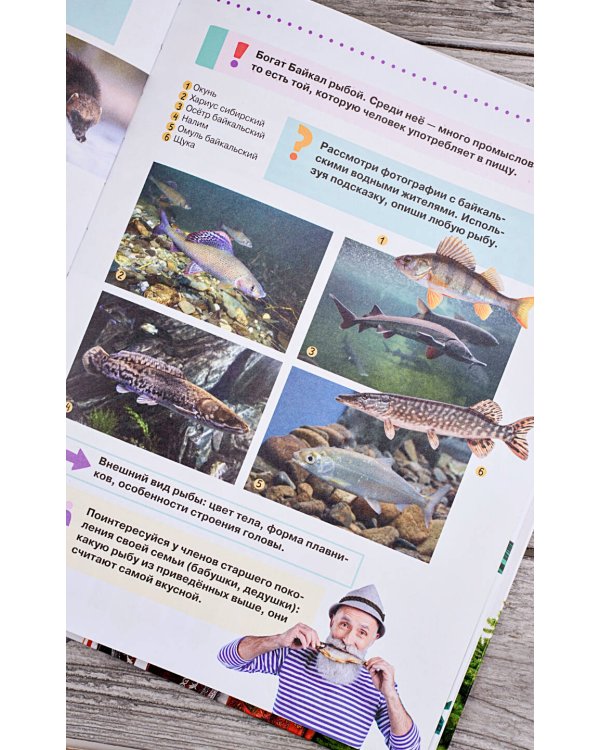 Разговоры о важном для дошкольников