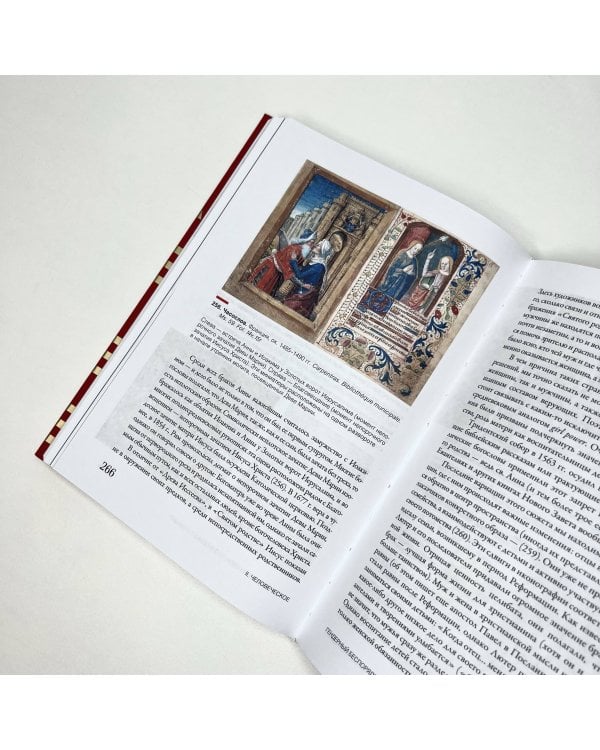 Страдающее Средневековье. Подарочное издание