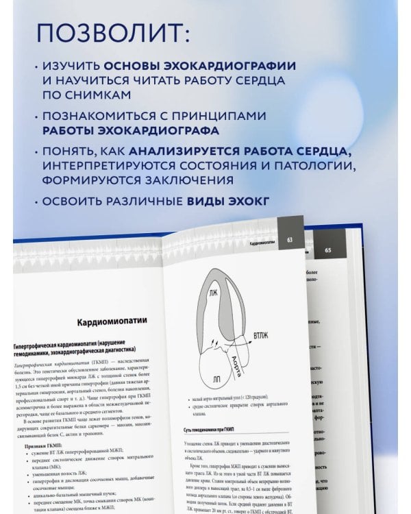 Эхокардиография для начинающих. Суть гемодинамических нарушений, позиции для анализа, определение тяжести порока. 2-е издание, исправленное и дополненное