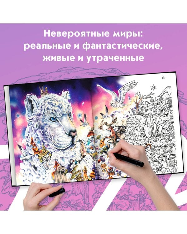 Мироморфозы. Экстремальные раскраски