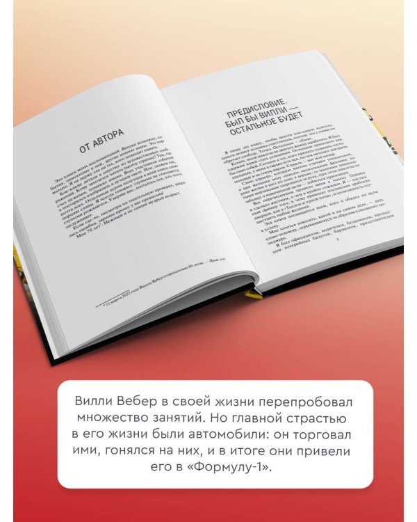 Моя кровь — бензин. Автобиография менеджера Шумахера