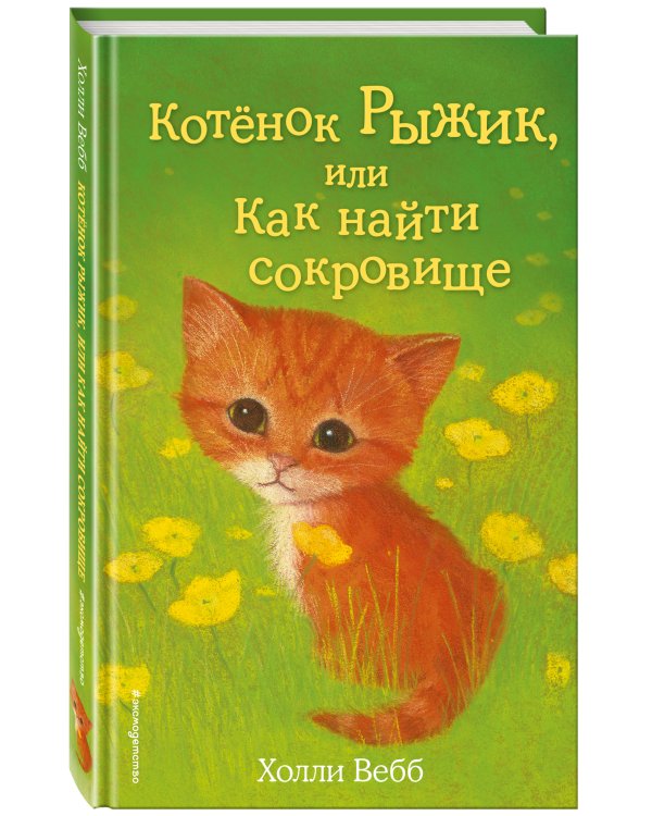 Котёнок Рыжик, или Как найти сокровище (выпуск 13)