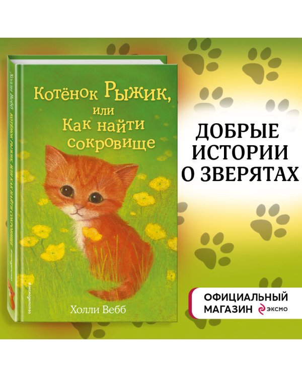 Котёнок Рыжик, или Как найти сокровище (выпуск 13)