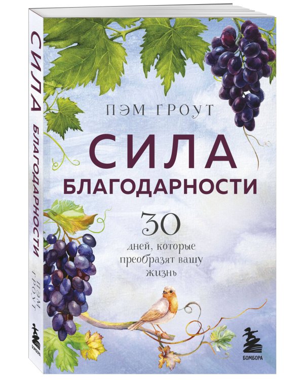 Сила благодарности. 30 дней, которые преобразят вашу жизнь