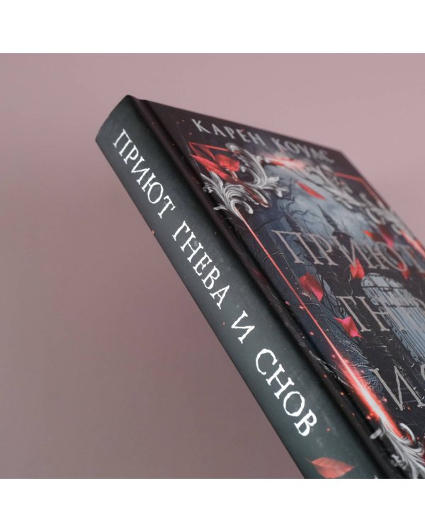 Приют гнева и снов