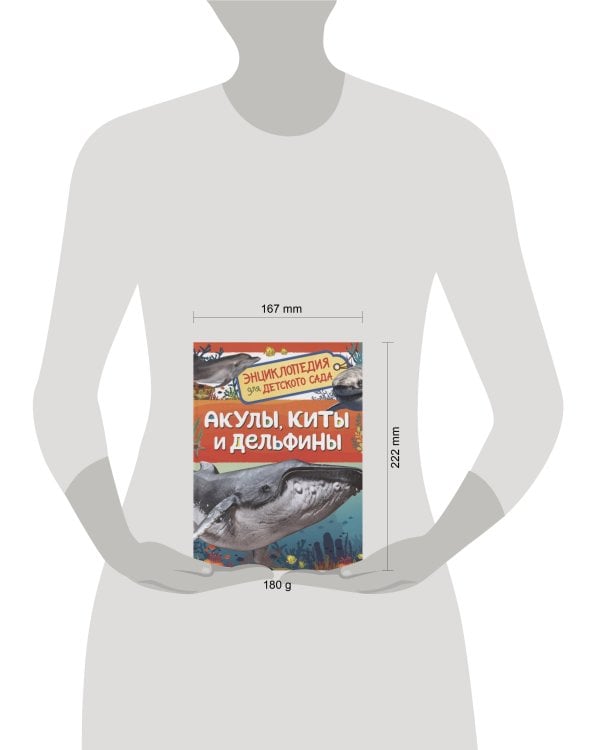 Акулы, киты и дельфины (Энциклопедия для детского сада)