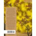Мир в капле дождя. Осень. Зима. Хайку на все времена