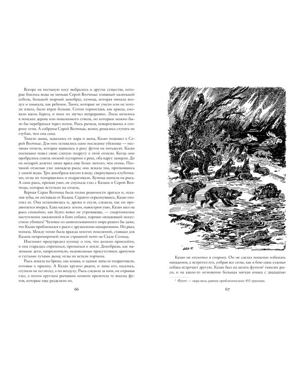 Бродяги Севера (иллюстр. С. Лолека)