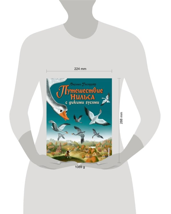 Путешествие Нильса с дикими гусями (ил. И. Панкова)