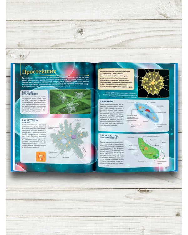 Планета Земля