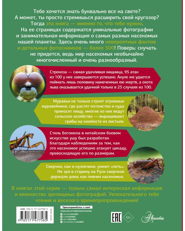 Большая энциклопедия о насекомых. 500 фотографий и фактов