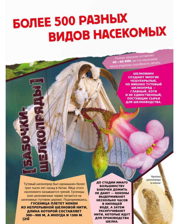Большая энциклопедия о насекомых. 500 фотографий и фактов