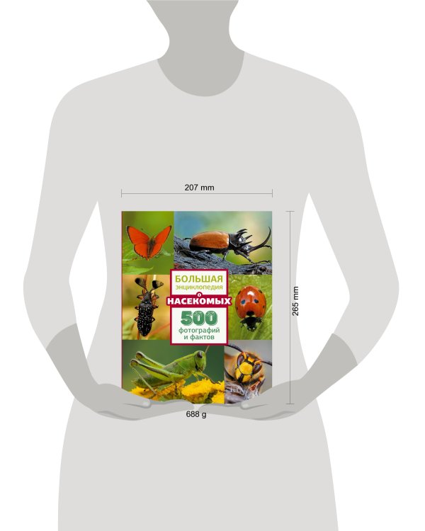 Большая энциклопедия о насекомых. 500 фотографий и фактов