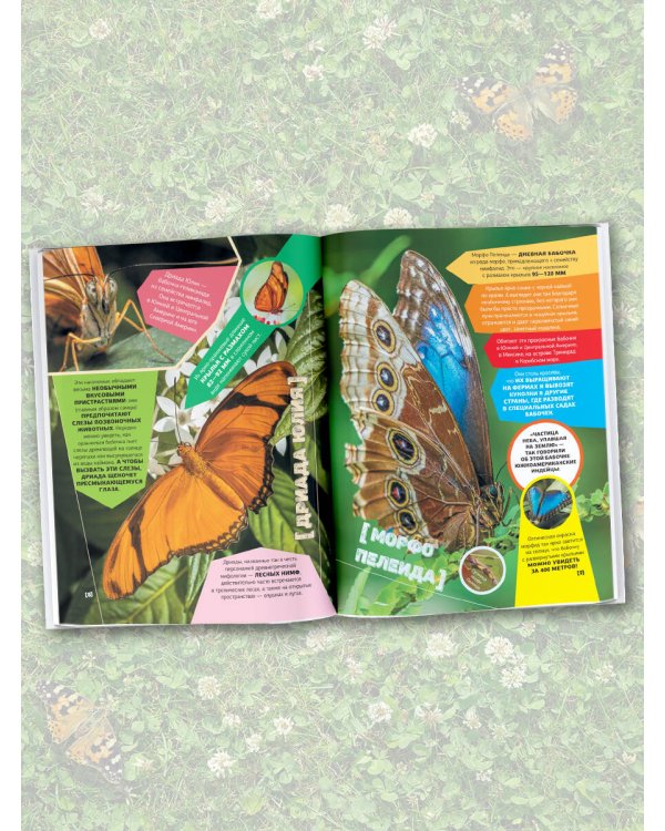 Большая энциклопедия о насекомых. 500 фотографий и фактов