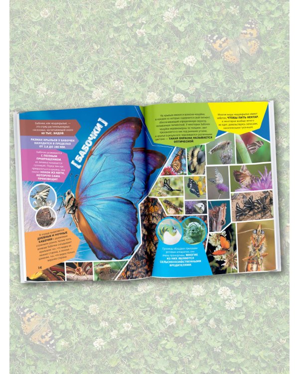 Большая энциклопедия о насекомых. 500 фотографий и фактов