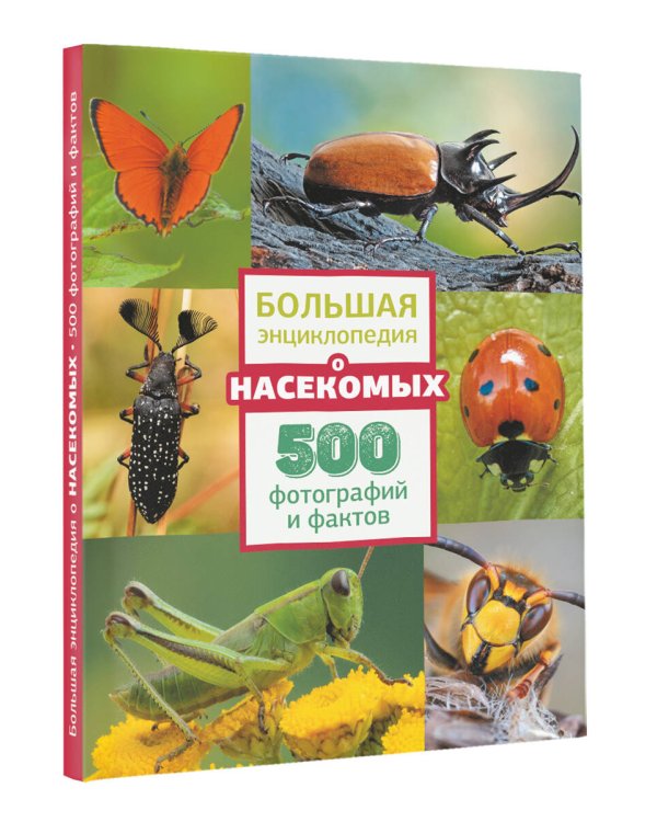 Большая энциклопедия о насекомых. 500 фотографий и фактов