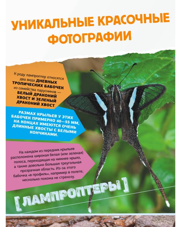 Большая энциклопедия о насекомых. 500 фотографий и фактов