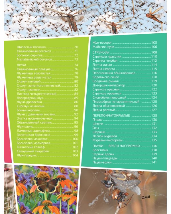 Большая энциклопедия о насекомых. 500 фотографий и фактов