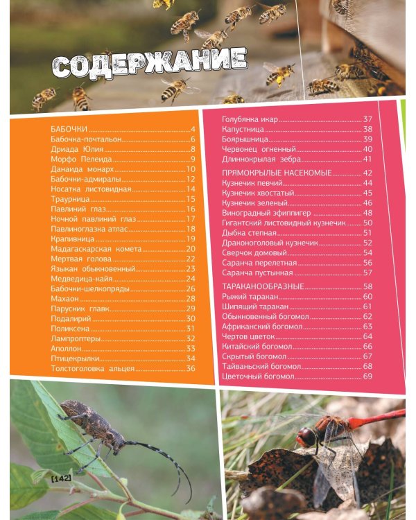 Большая энциклопедия о насекомых. 500 фотографий и фактов