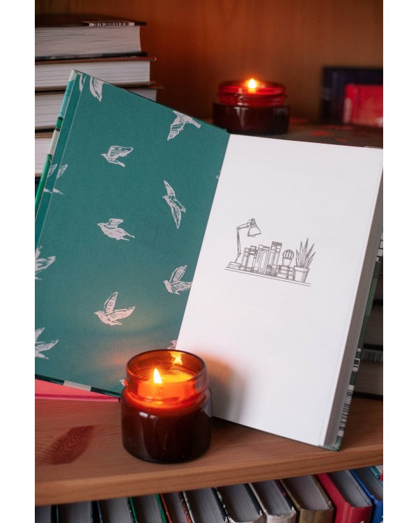 Дни в книжном Морисаки