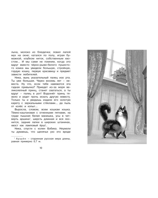 Белый пудель