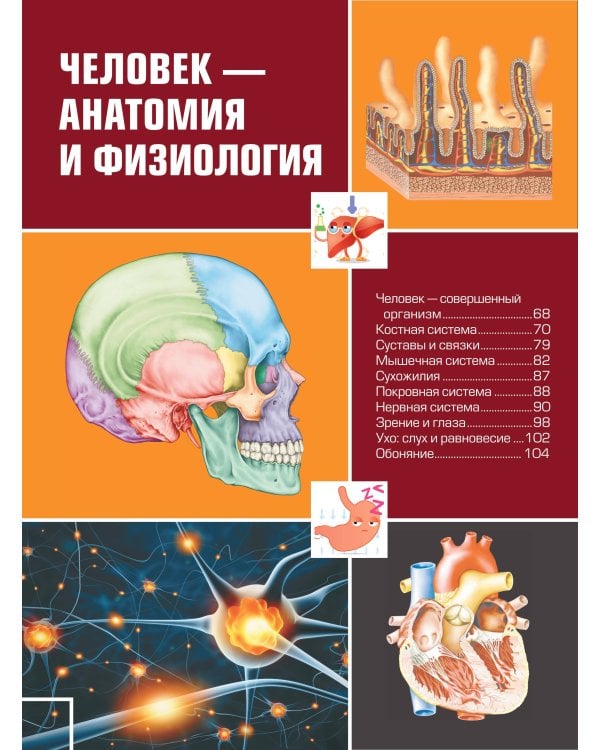 Большая детская 4D энциклопедия с дополненной реальностью