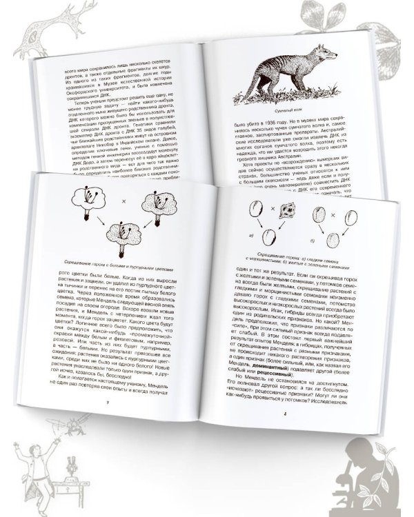 Загадки генетики