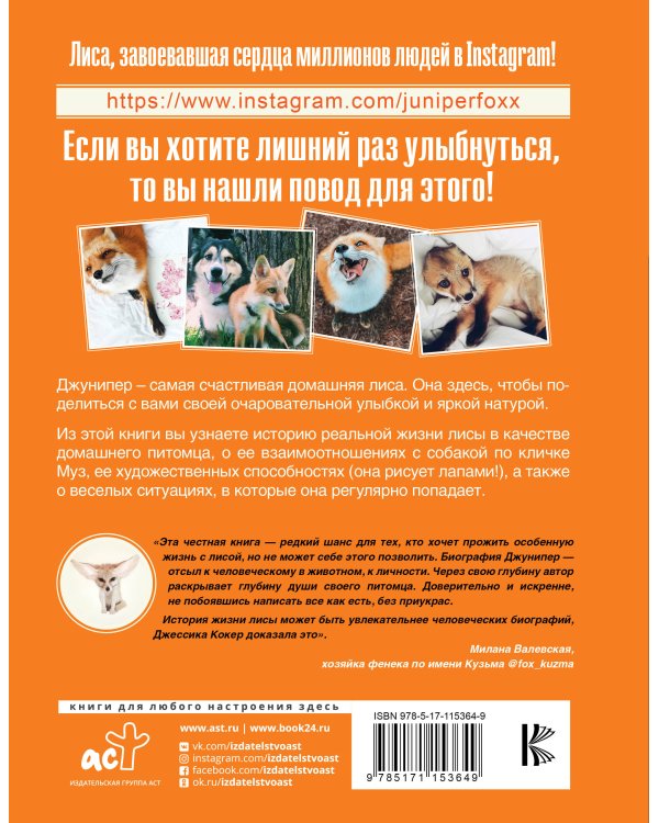 Счастливая лиса Джунипер