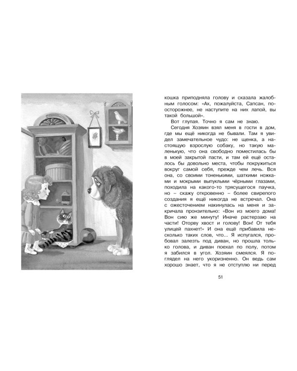 Белый пудель