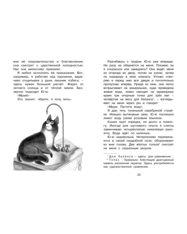 Белый пудель