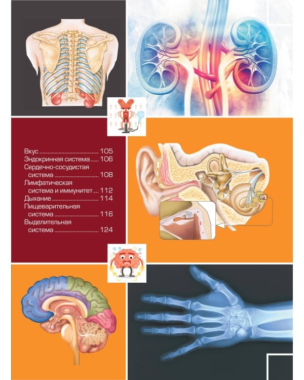 Большая детская 4D энциклопедия с дополненной реальностью