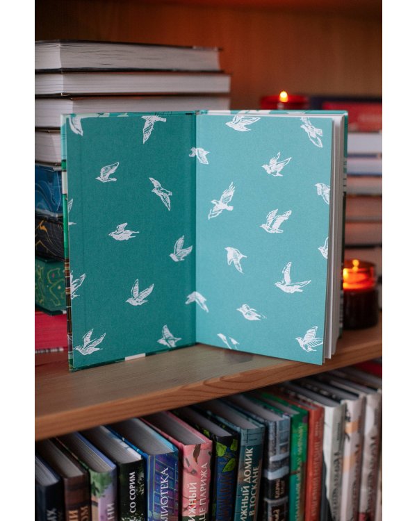 Дни в книжном Морисаки