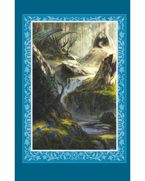 Странствия убийцы. Иллюстрированное издание