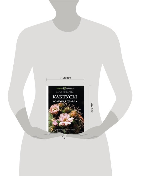 Кактусы. Колючая правда