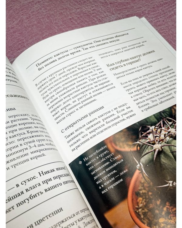 Кактусы. Колючая правда