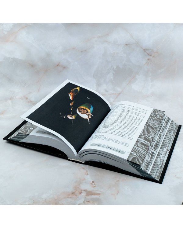 Мастер и Маргарита