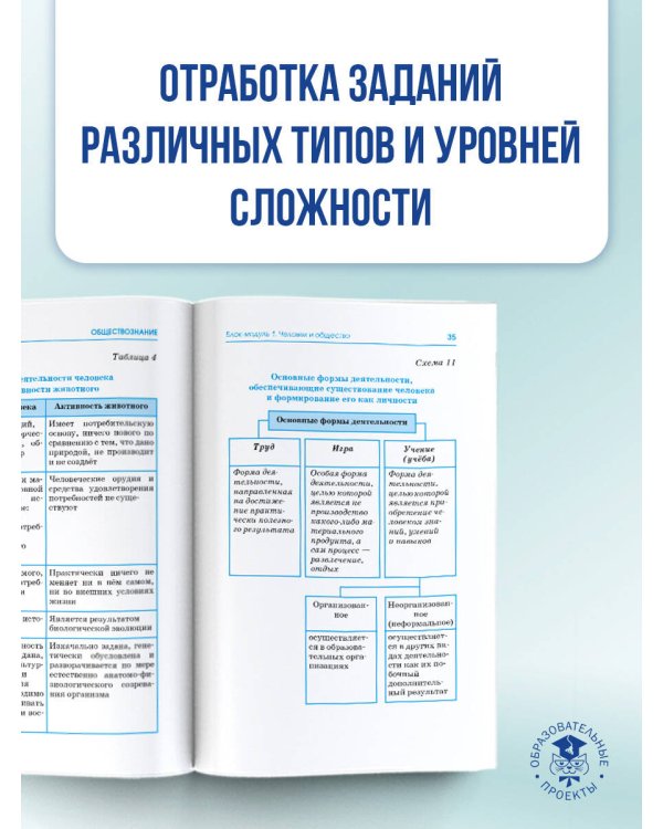 ОГЭ. Обществознание в инфографике