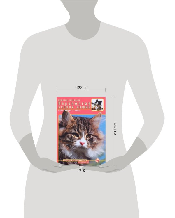 Норвежская лесная кошка : содержание и уход