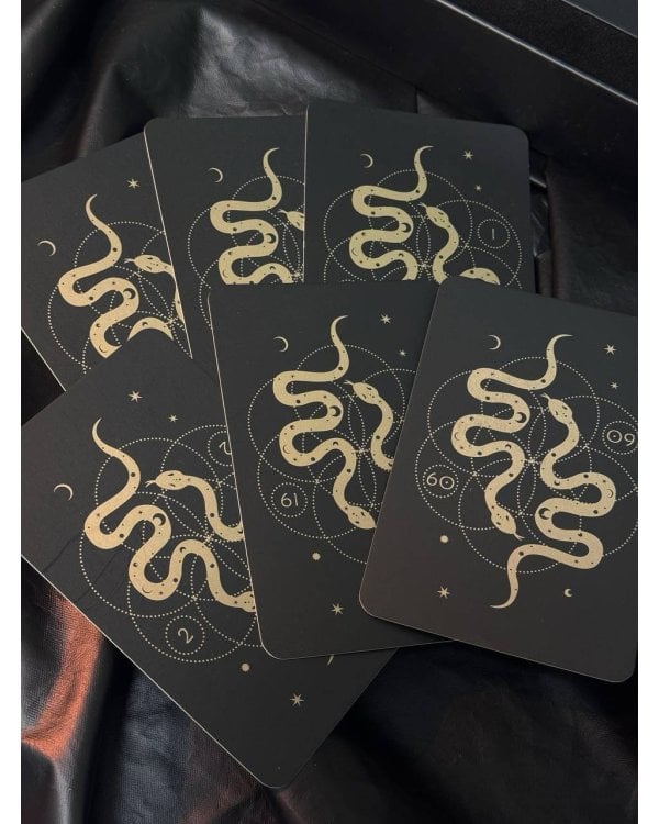 Лила. Колесо страсти. Трансформационная игра о природе сексуальности 