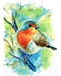 360-AS Зарянка