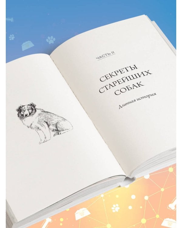 Собака навсегда. The forever dog. Прорывное научное открытие, которое поможет сохранить здоровье и продлить жизнь вашей собаке