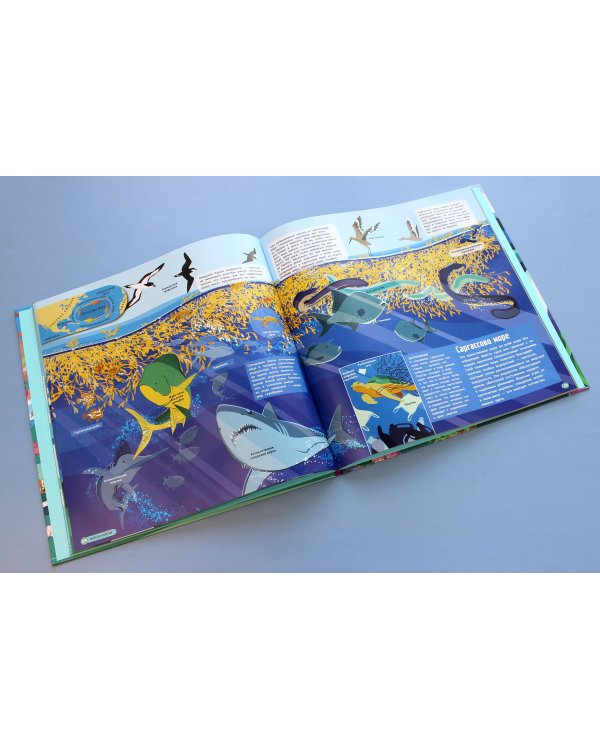 Удивительный атлас морских обитателей. Виртуальная реальность