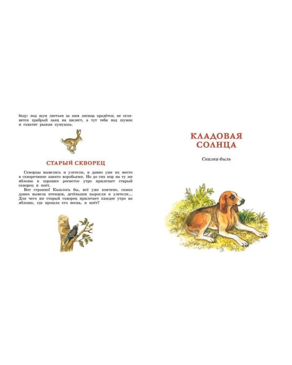 Лисичкин хлеб